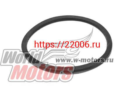 Кольцо уплотнительное топл. насоса Fora (A211106611) Кольцо уплотнительное топл. насоса Fora (A211106611)