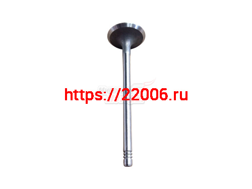 Клапан впускной Tiggo 1.6 1.8 2.0, Vortex Tingo, Fora 2.0 (481H-1007011BA)