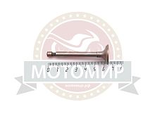 Клапан выпускной 160F диаметр 20 мм (14412)