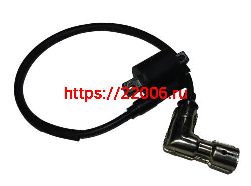 Катушка зажигания 169 FMM, TUNGUS 250 дви (101009)